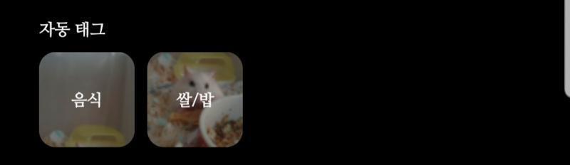 ์ฐ๋ฆฌ ์ง ์ฅ ์ด๋ฆ์ด ์์ด์ธ๋ฐ ์๋ํ๊ทธ๊ฐใ
ใ
ใ
ใ
ใ
