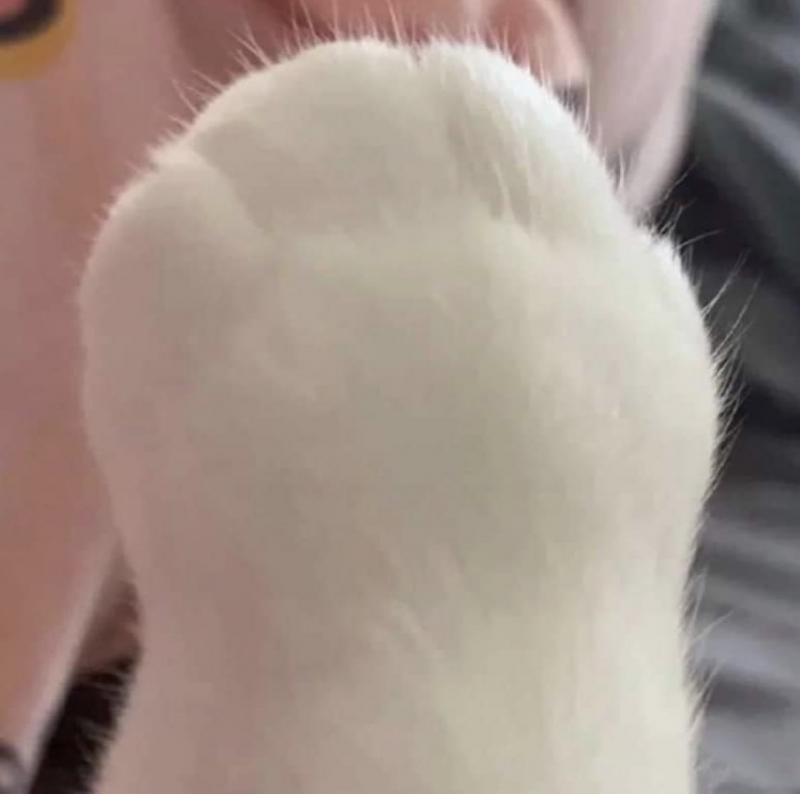 귀여운거 봐