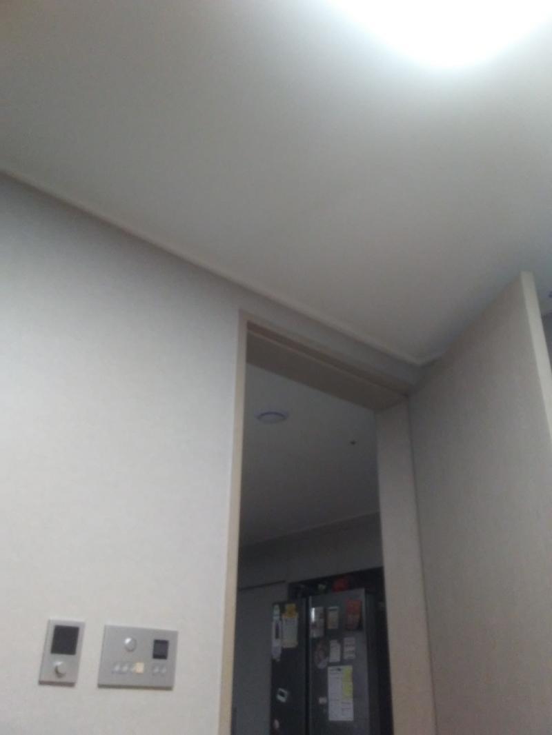 안방인데 여기서 이상한 형광색 손을 봐서.. 혹시 이거 봐줄수 있어?