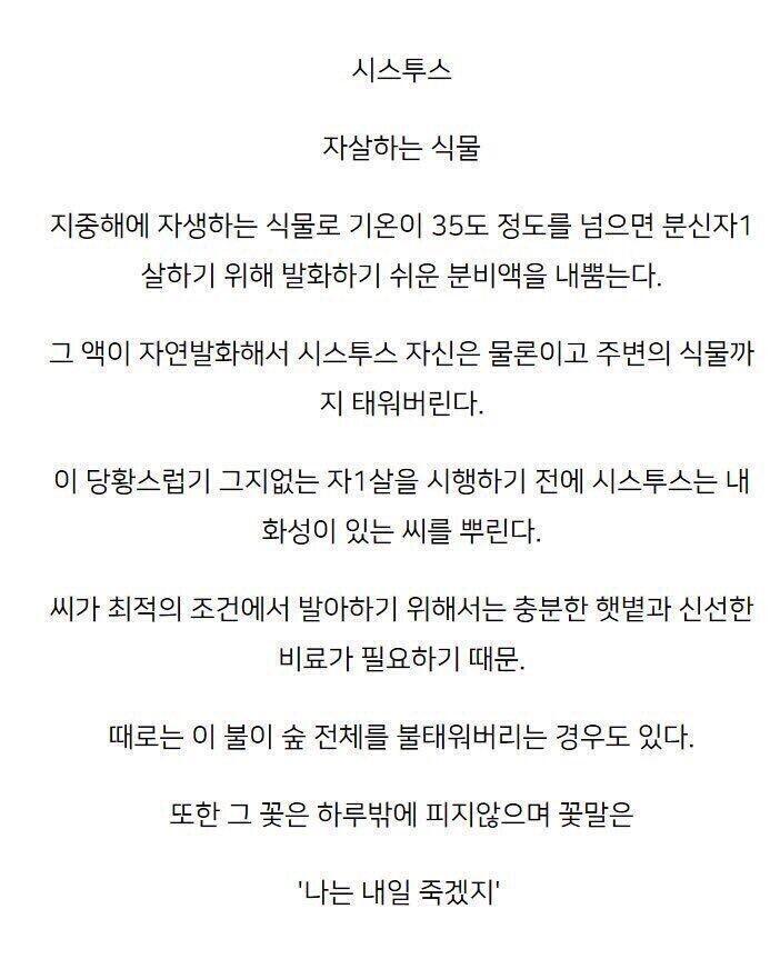 어디선가 본 짤. 주제가 연성소재였으니만큼 쓸모있다(?)