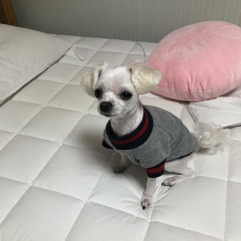 연애운 봐줘( 몇달안에 가능한지), 좋아하는 사람이 있는데 같은 학교지만 연락도 안해보고 말도 안해본 애야. 접점도 없고. 친해질수 있을지 궁금