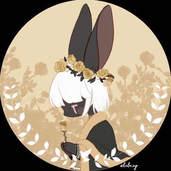 토끼!🐰