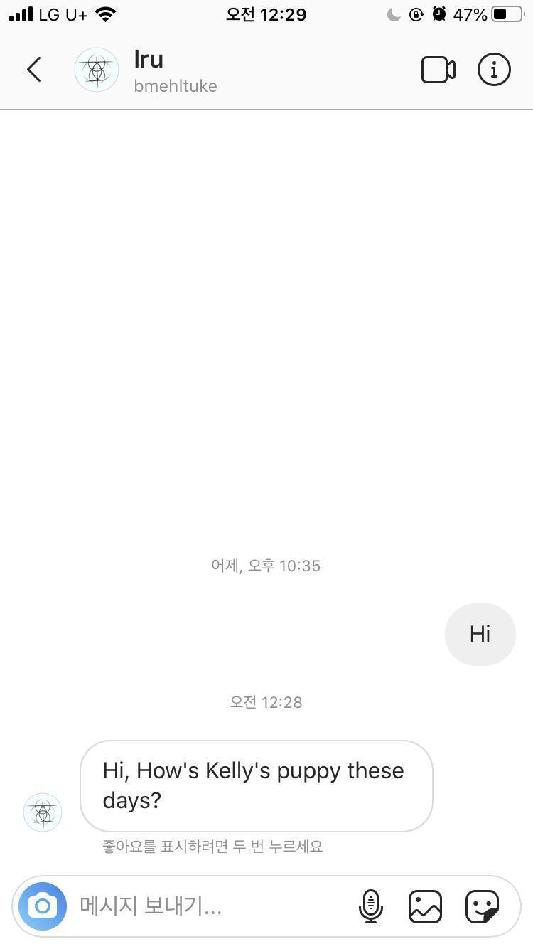 캘리 강아지..? 뭐야 미국식 인사법인가????