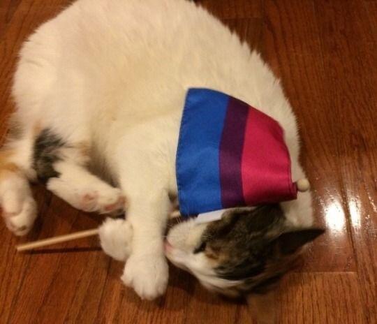 요고