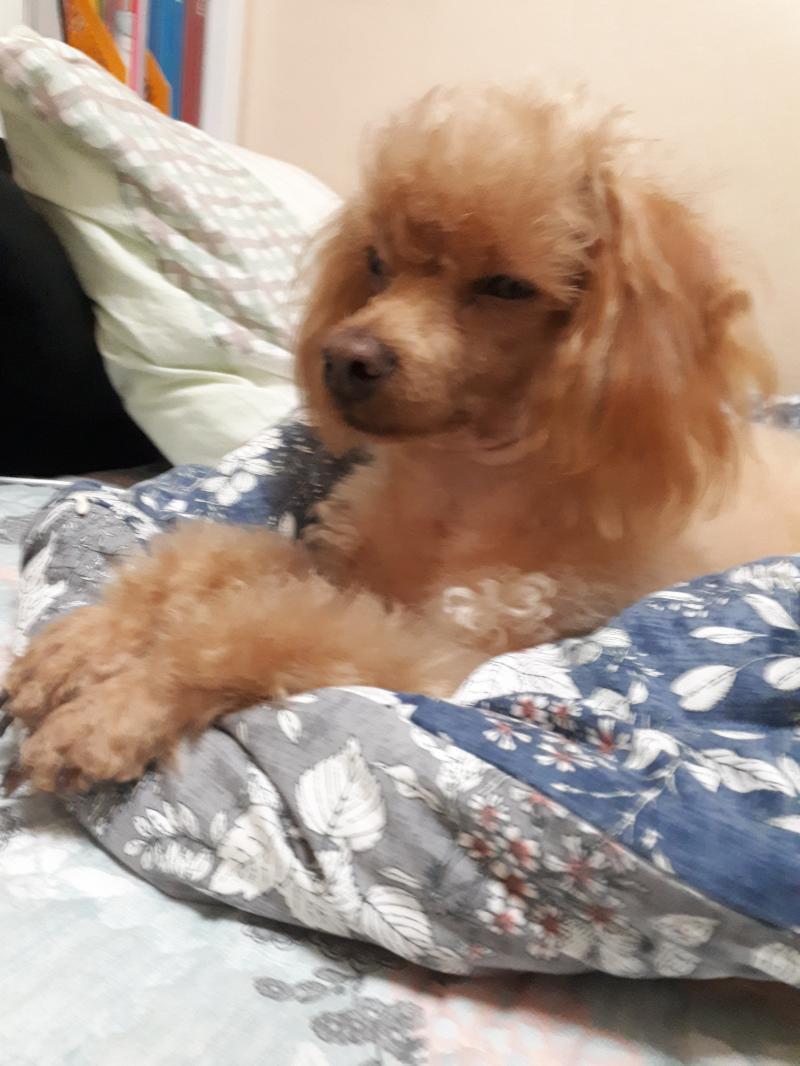존다...