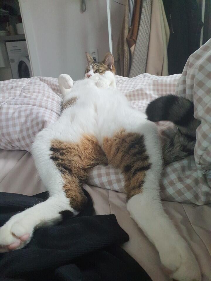 >>10 이사진 다른각도 ^^