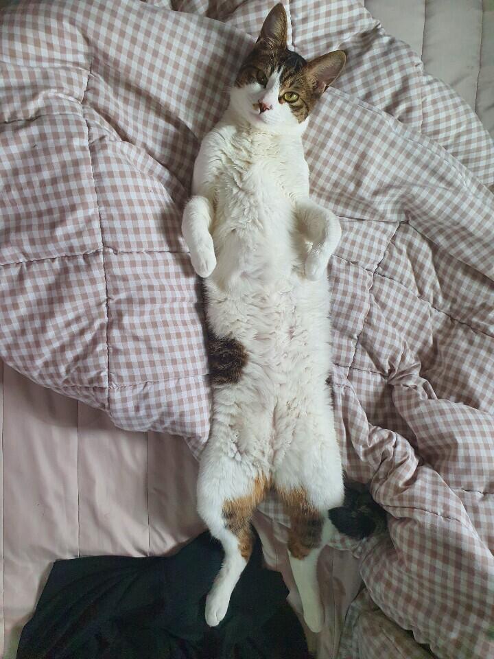 >>8 일단 하ㅏ나 푼다 ㅎㅎ