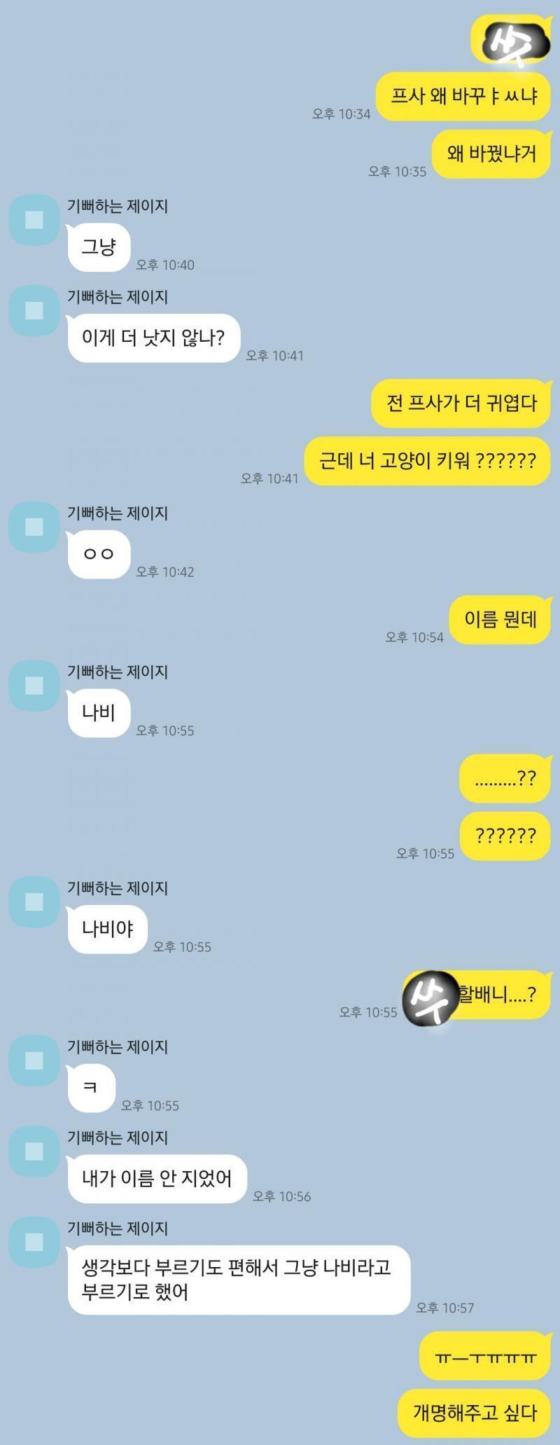 카톡 내용이얌 8월 초반