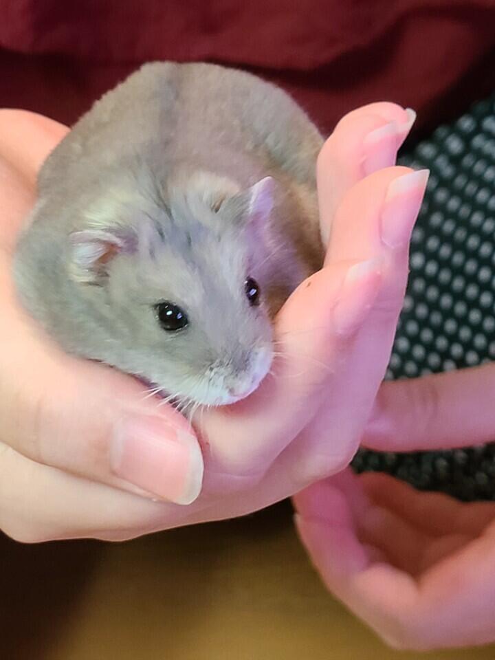 쨘