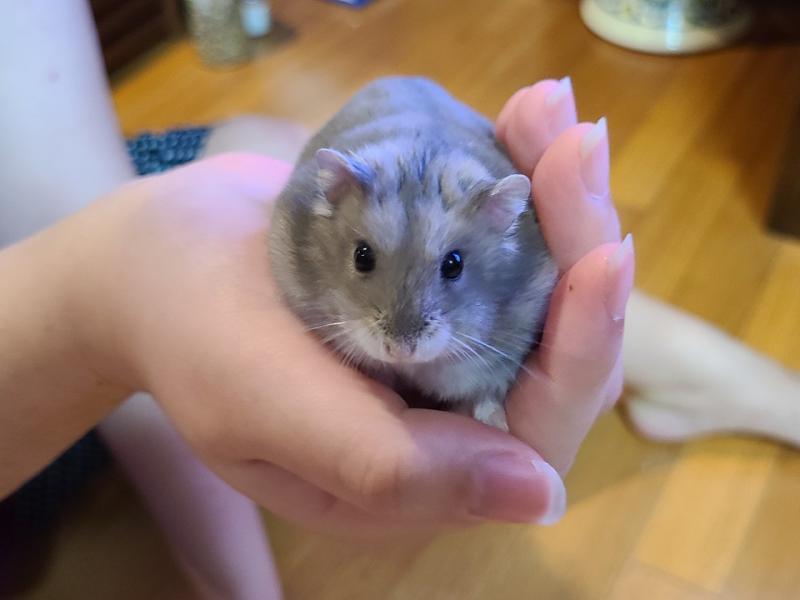 쨘