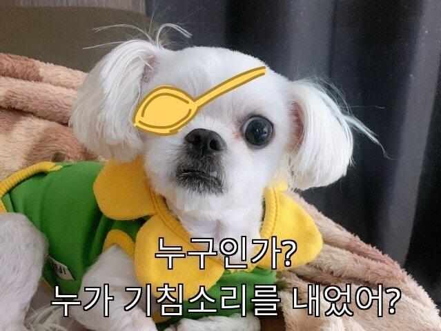 예전에 짤로 만들어 놨던거 가져와봤어