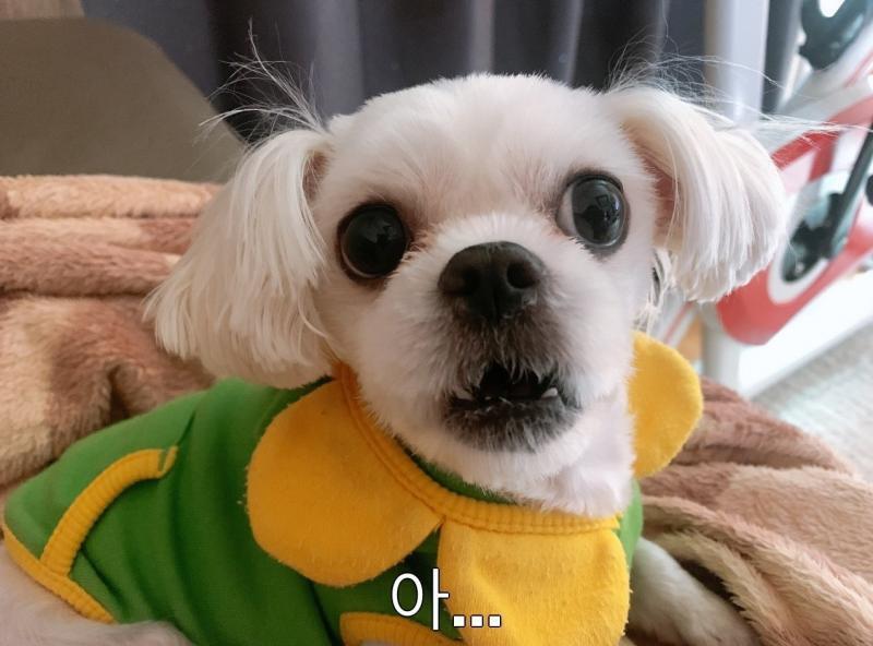 예전에 짤로 만들어 놨던거 가져와봤어