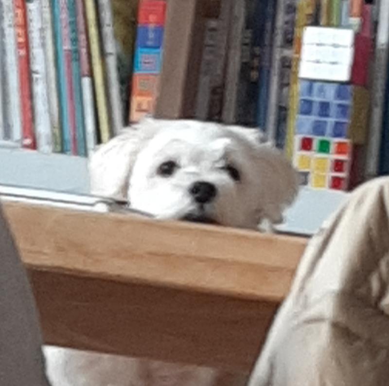 점점 곰돌이 상으로 변해가는....