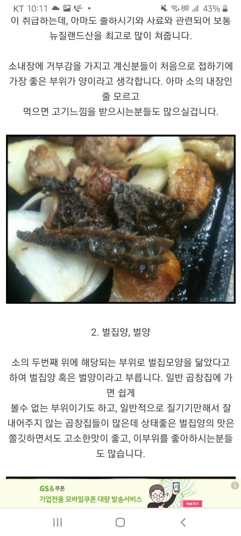>>43 소의 두번째 위는 벌집위, 또는 벌집양이라고도 한답니다 레스주 덕분에 좋은 상식 얻고 가네요