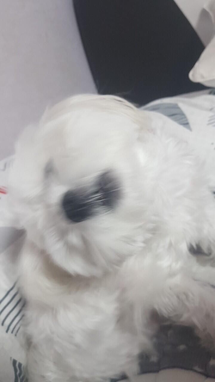 하?