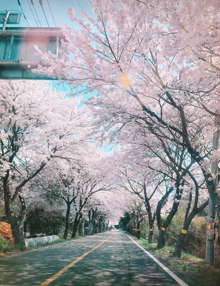 >>618 내가 처음으로 꿈을 가지게 되어서 요즘 그 꿈을 이루기위해 노력하고있는데 쉽지가않아가지고.. 타로질문하러왔엉! 내가 알고싶은건 내년에