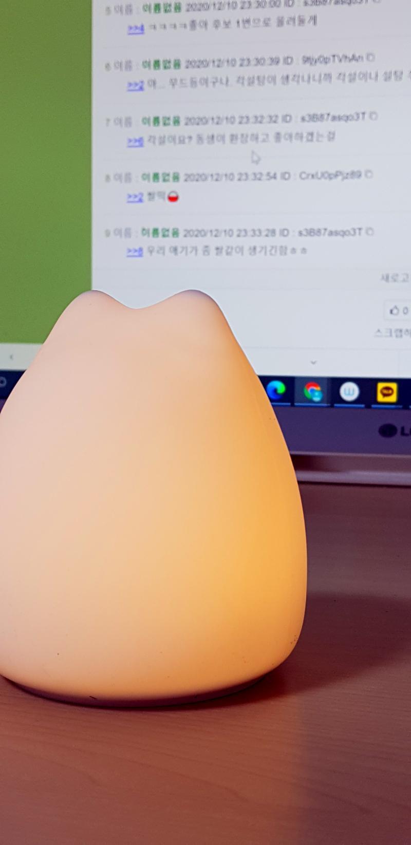 이름후보를 보고있는 마이리를키티