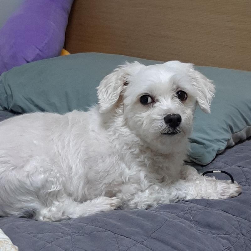 >>53 실제로도 뚫어져라 쳐다 봐... 동영상 못 올리는 게 한이네..... 헐 진짜 대부분의 사진이 곁눈질하고 있어 진짜 사람인가 얘