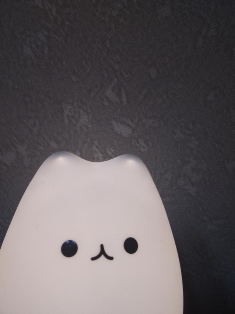 친구 여기도 있어!!