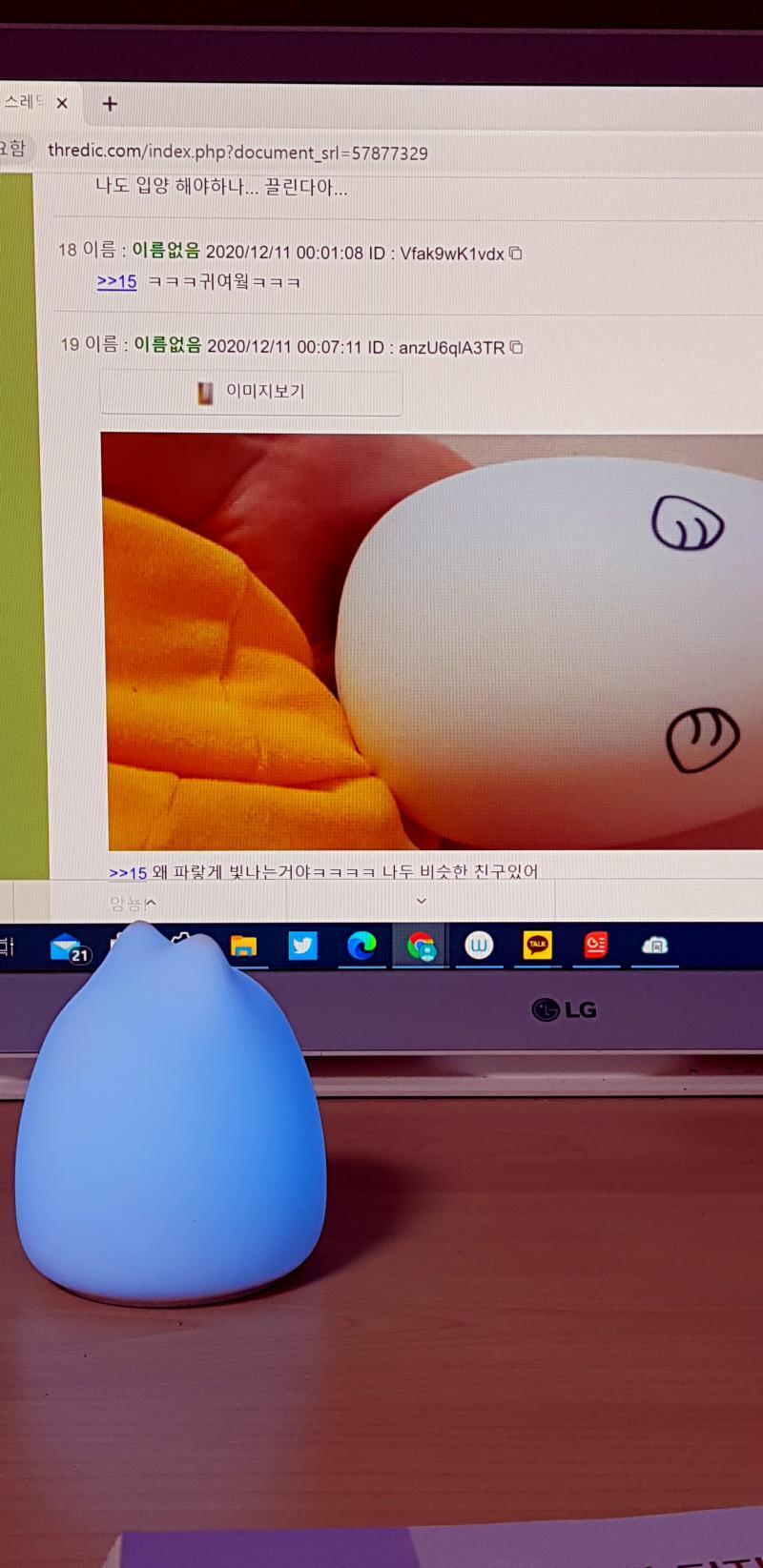 훈육이 통했는지 파랗게 빛나고있다. 성장했구나 쏘머치큐티키티!