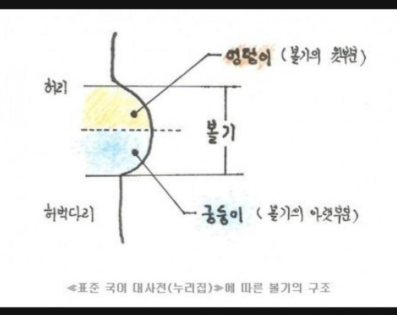 >>17 갈라져이는곳은 궁둥이고 안갈라져있는곳이 엉덩이라 그러나?