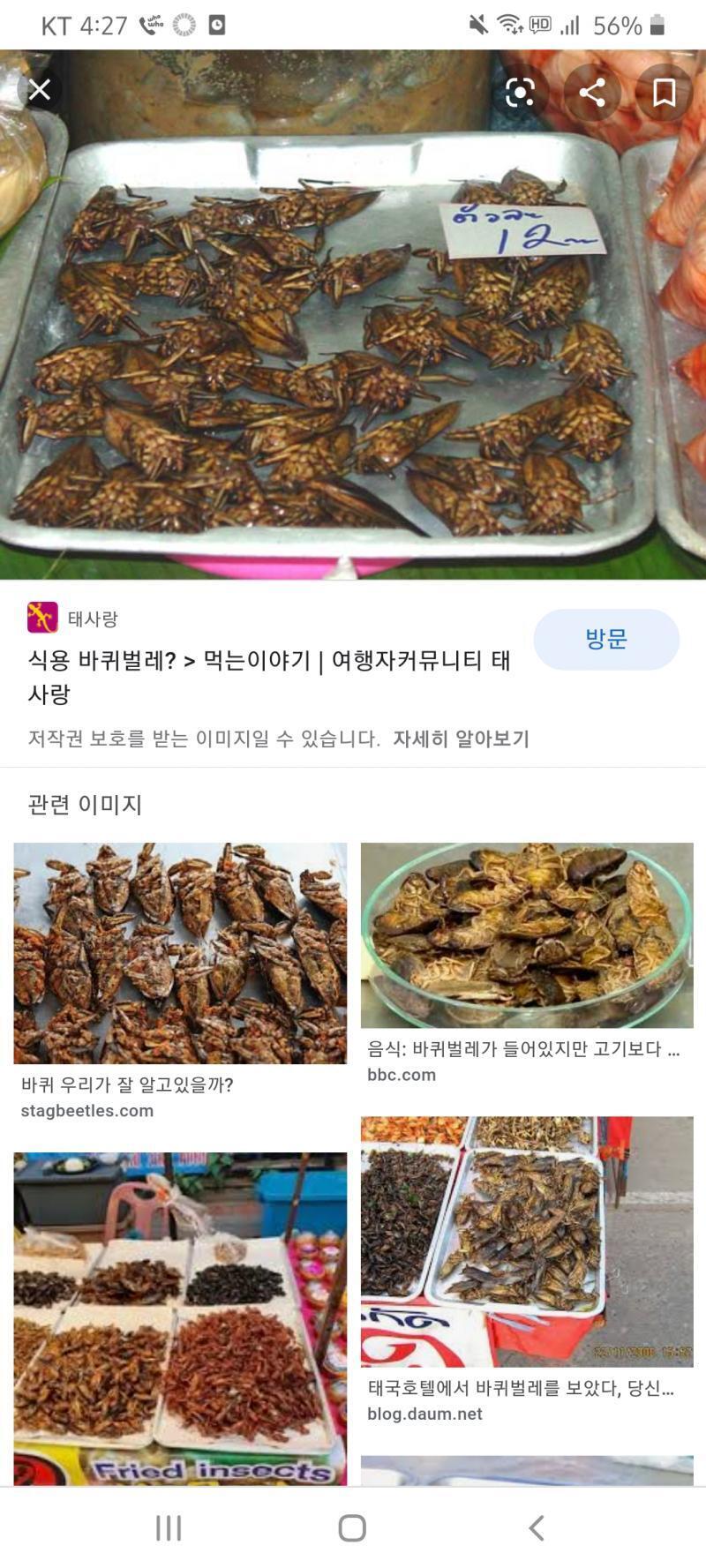 >>170 혐짤이니 클릭시 매우매우 주의...!! 중국에서는 바퀴벌레도 맛있게 냠냠 한다구??