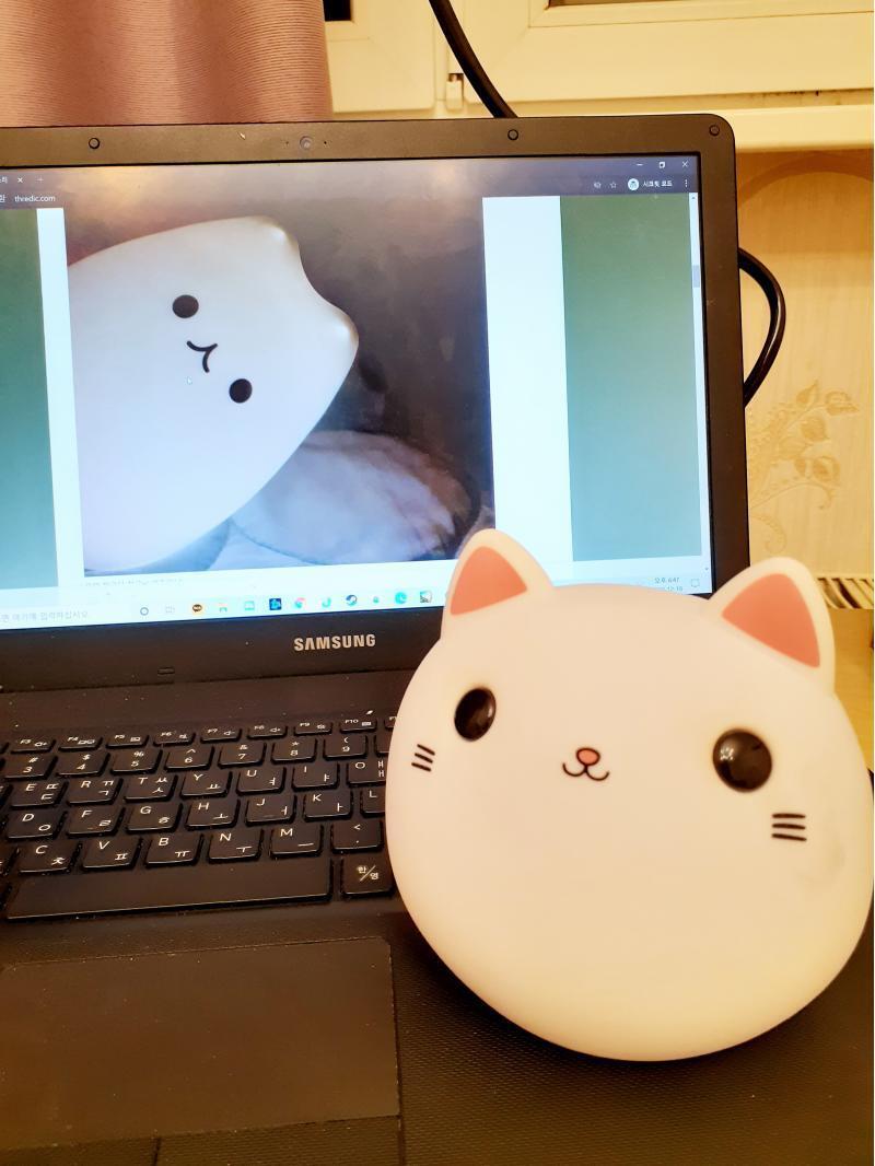 스케일 부터 다른 몸집 크기에 조금 소심해진 우리 백당이야...