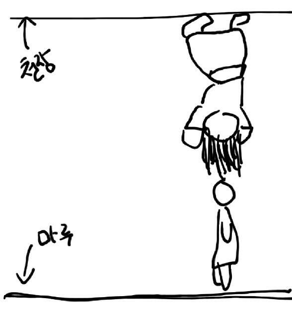 천장이었어 천장에 매달려서 그게 나를 쳐다보고 있었어 그래서 문을 열어도 안 보이는 거였어 매일매일 내가 나오기를 기다리고 있던 거였어 유인했던
