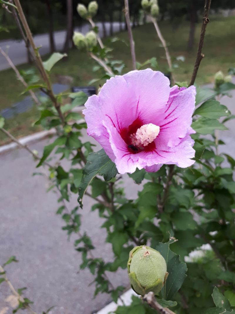 안녕 스레주! 잠깐 쉬기 전에 많이 왔었는데 기억할지는 모르겠다. 잘 쉬었어? 다시 연애 관련 궁금해서 왔어! 지금 바이러스랑 여러 여건이 겹쳐