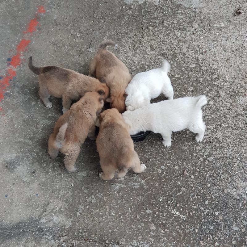 고양이랑 멈머
