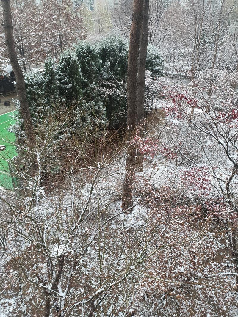 눈 너무 이쁘게 온다 ❄ ❄
