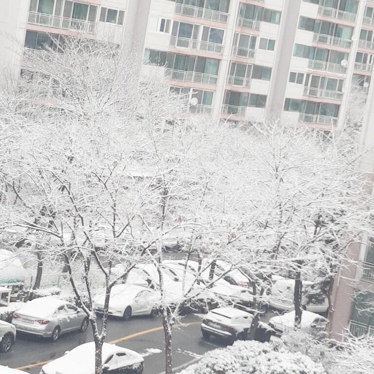 >>11 눈 구경 시켜드립니다