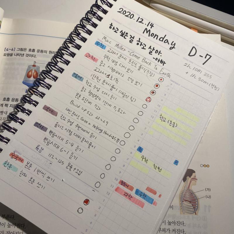 해야할거 역대급으로 많았는데 난 또 미루네^^ 야발 ㅎㅎㅎ