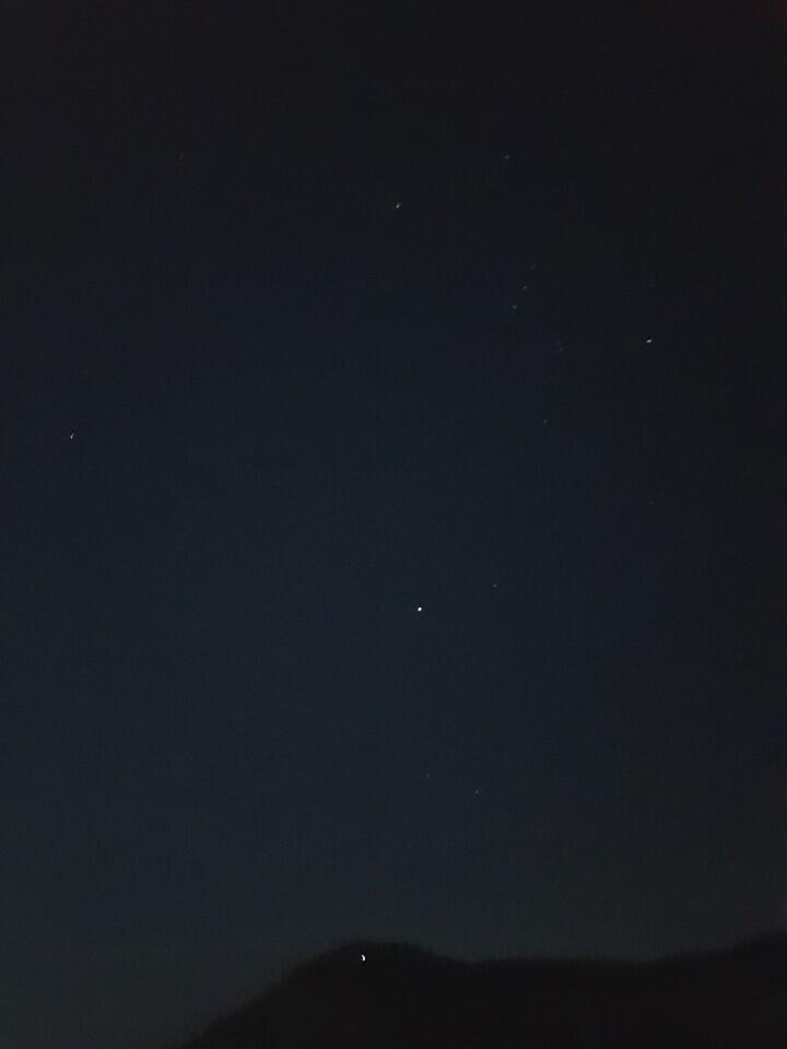별 개이뻐...와..