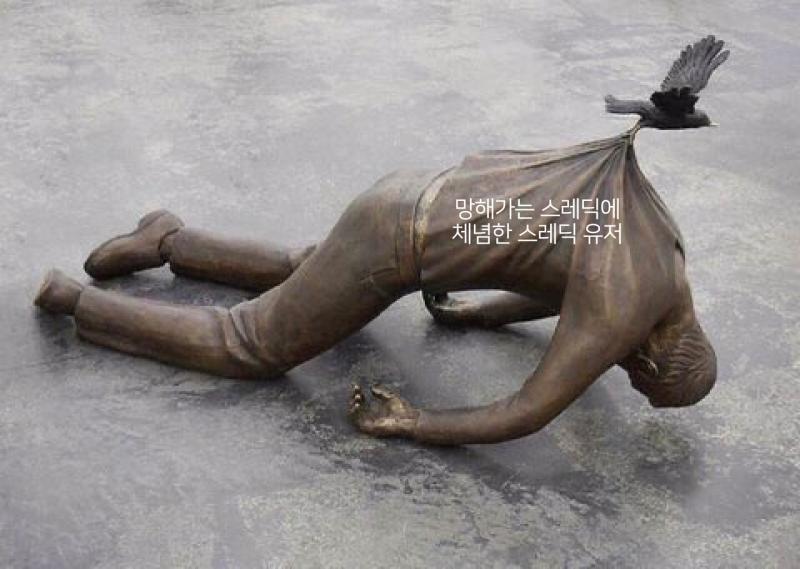 새에 뭘 넣으면 좋을까