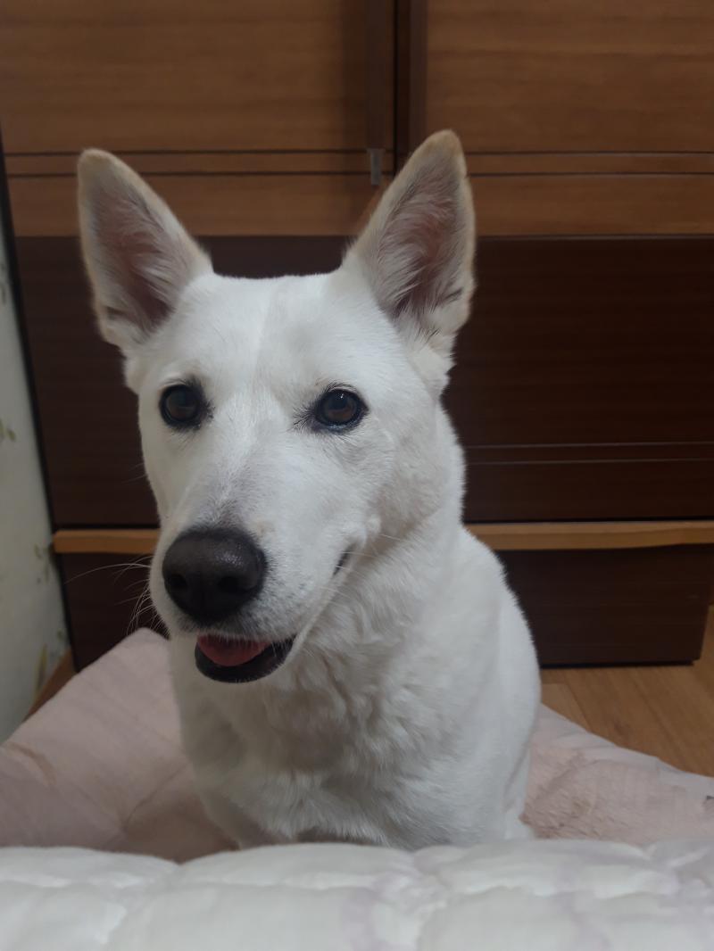 수정 늦어서 쏘리 😂 나는 곧 졸업하는 대학생인데... 사실 내 진로가 이게 맞는지 모르겠어... 여러 사람에게 조언을 들어봐도 사실 미래? 취