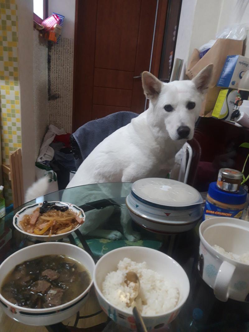 수정 늦어서 쏘리 😂 나는 곧 졸업하는 대학생인데... 사실 내 진로가 이게 맞는지 모르겠어... 여러 사람에게 조언을 들어봐도 사실 미래? 취
