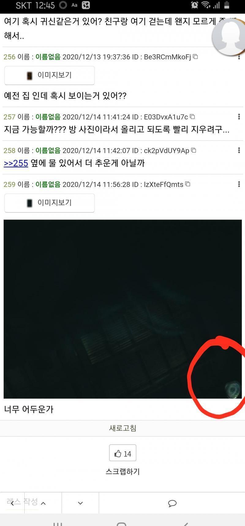 >>259 얜 뭐여?