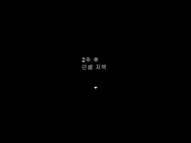 그로부터 2주 후 마가렛이 마차를 타고 던셸저택 앞에 도착했다. '한 이야기가 끝나면 다른 이야기가 시작되지. 그것이 순리. 남편의 생전 이야기