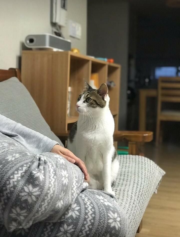 스레주 ㅠㅠ 나 >>677 얘야 ㅠㅠ 어제 새벽에 일을 다 마무리지엇거든 그래서 늦어도 오늘 점심까지는 결과가 나와야하는데 계속 안나오고있어서.