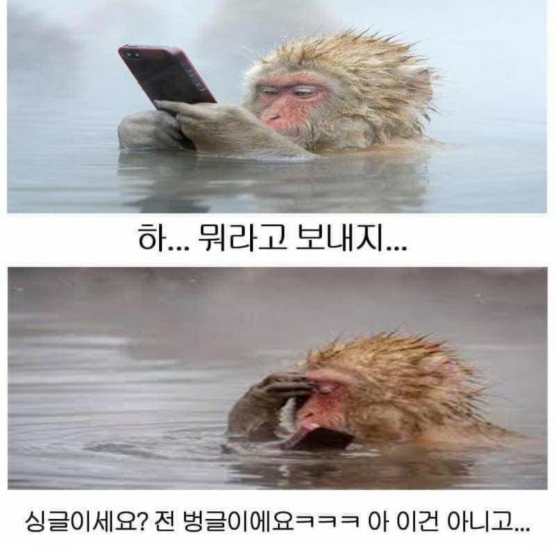 이거보내자