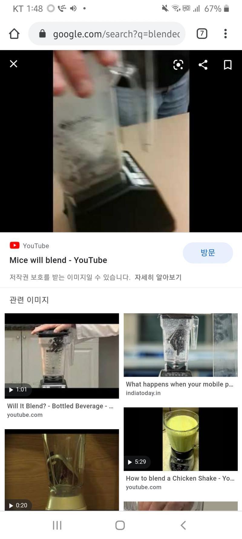 >>252 혐짤주의.... 참고로 쥐를 믹서기에 넣고 간 사진이야