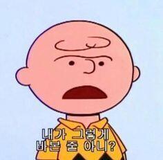 딱 봐도 호감있잖아 주글래 당장 선펨해