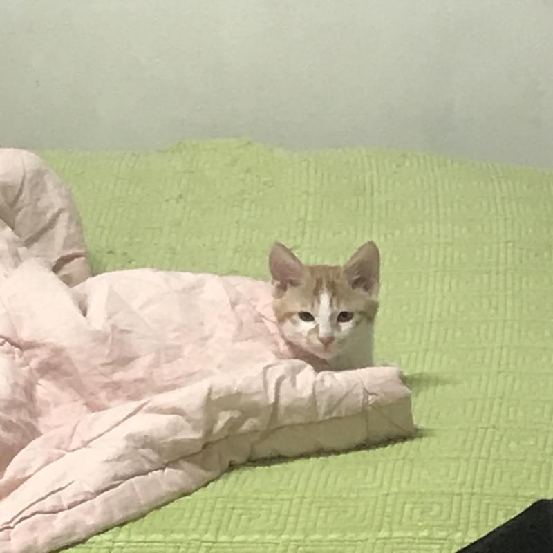 >>125 응응 고마워 마지막으로 복채 하나더..