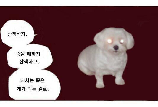 ㄷㄷ