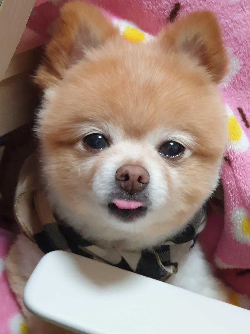 음..ㅎㅎㅎ 잠옷은 무시해줘..🤭 울애기 귀엽지..🥰