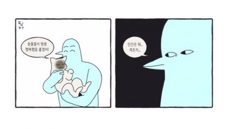 트위터 이딴 밈이나 만화 이젠 지겹고 역겹고 개찐따같음