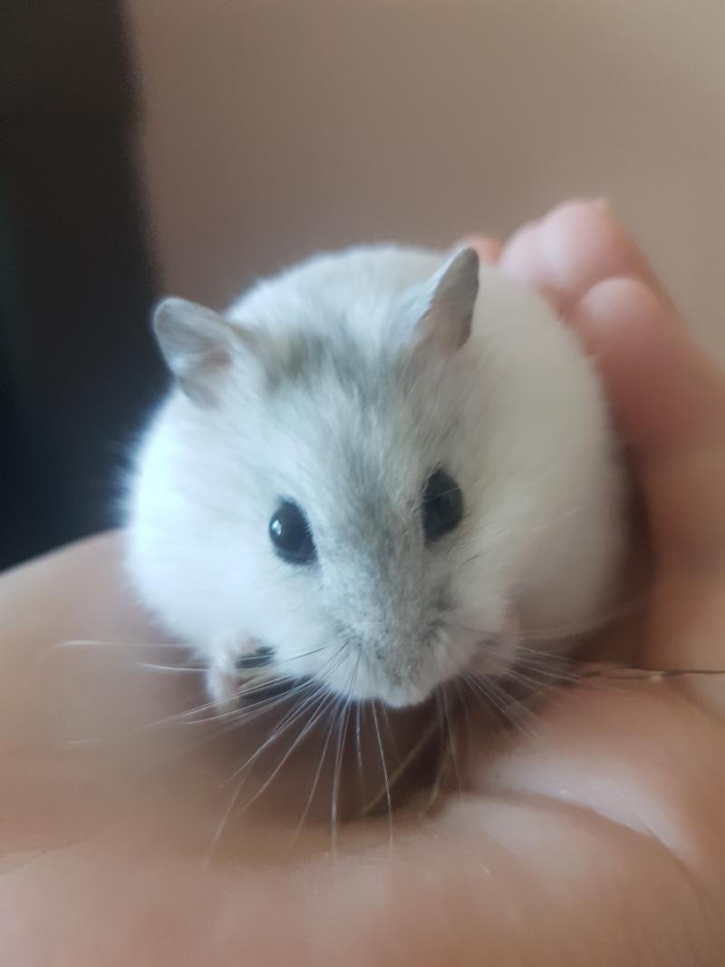 ^ㅠ^