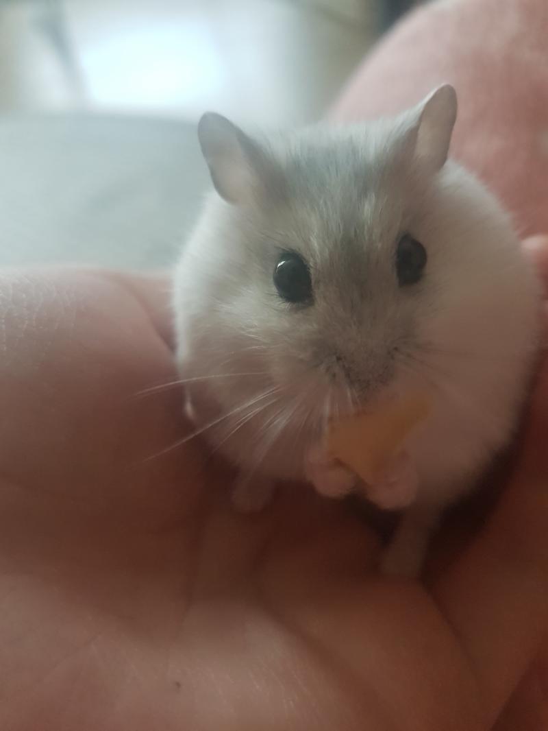 ^ㅠ^