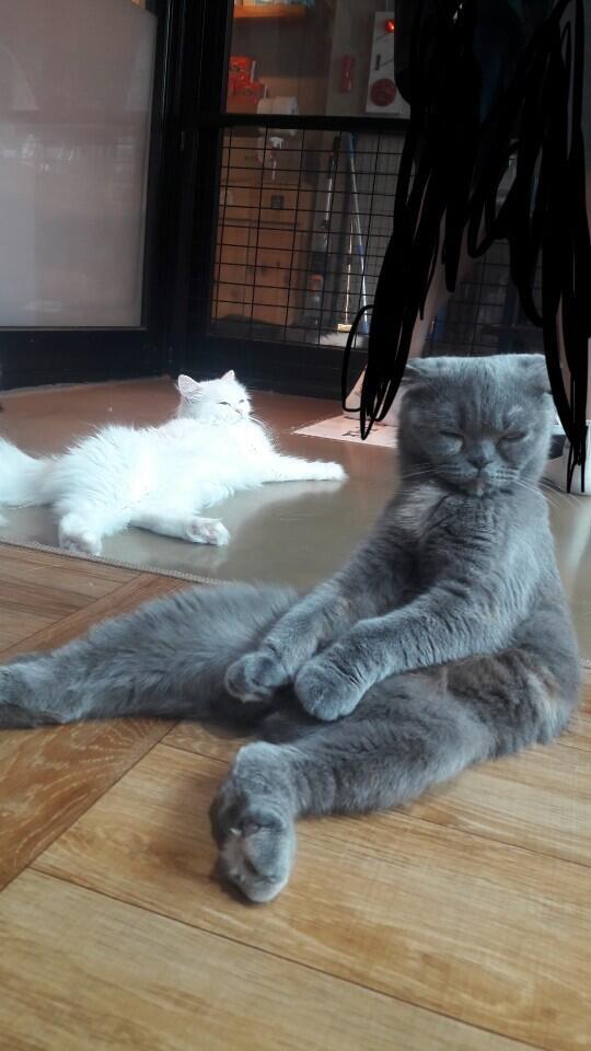 안녕! 복채질문이야! 내 진로가 이길이 맞는걸까? 사실 이미 바꾸기엔 늦은것 같기도하고 열심히 하라면 할 수 있을것같긴한데 확신이 없어ㅠㅠ 대학